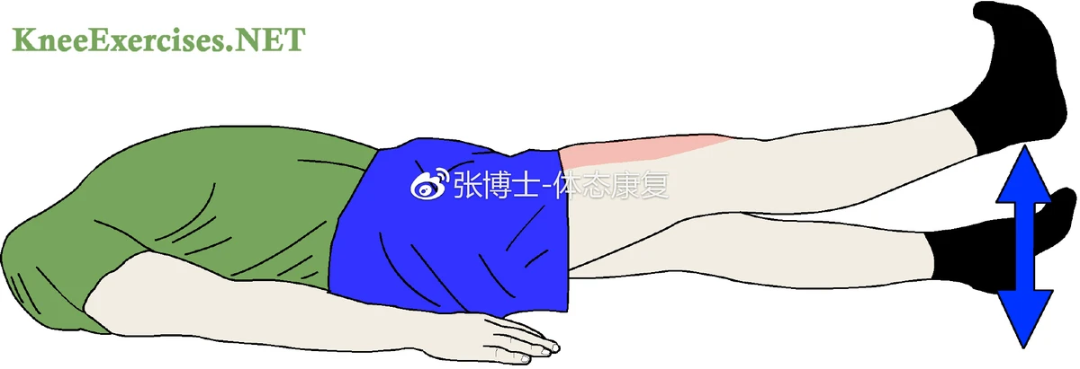 篮球周期训练计划方案设计_0